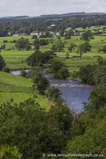 River Ribble: Mystery over artificial grass along river