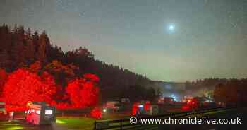 Stargazers to celebrate 10th anniversary of Northumberland Dark Sky Park with Kielder camp out