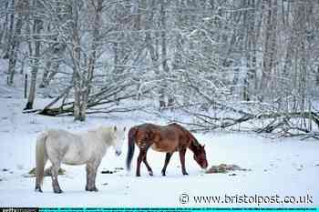 Met Office reveals when snow may hit UK this winter
