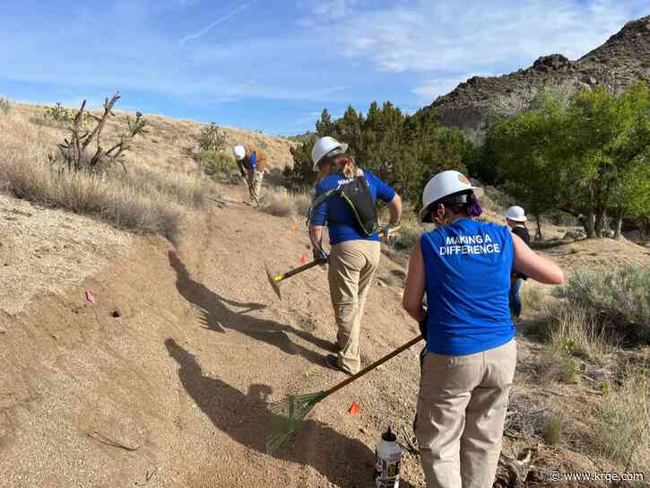 Taos conservation group gets federal grant to maintain its forests
