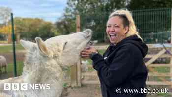 Jodie Marsh: OnlyFans helps pay for my Essex animal sanctuary