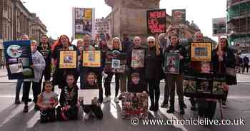 'They're my family': North East XL Bully owners speak out on Government ban after Newcastle protest