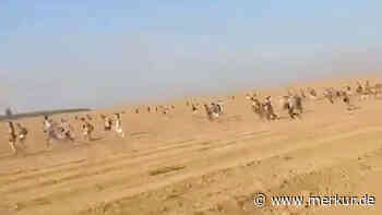 „Plötzlich spürten wir Kugeln“ – Tausende Festivalbesucher fliehen nach Hamas-Angriff