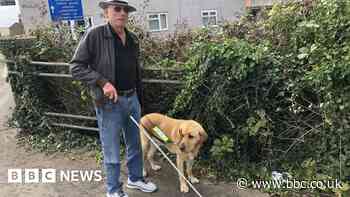 Blind man calls for weed and bramble clearance on Whittlesey pavements
