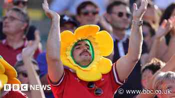 Rugby World Cup: Wales fans and pundits revel in perfect pool stage