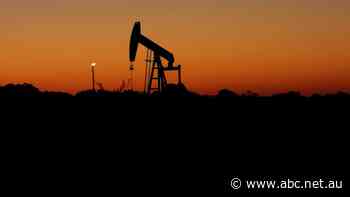 ‘Very worrying’: motorists should brace for a surge in petrol prices and higher interest rates, analysts warn