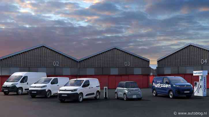 Elektrische bedrijfswagens, dit is het aanbod