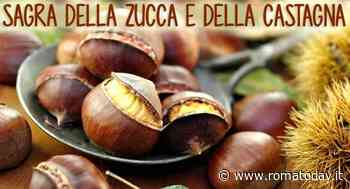 Sagra della zucca e della castagna a Castel di Leva