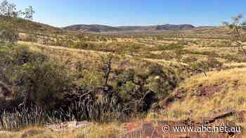 Rio Tinto says ancient Indigenous rock shelter disturbed in blast suffered 'no structural damage'