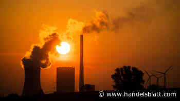 Neues CO2-Grenzausgleichssystem: Mehr Transparenz und Kontrolle für EU-Emissionen