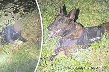 Diensthond Siep ging in een rechte lijn af op verdachte