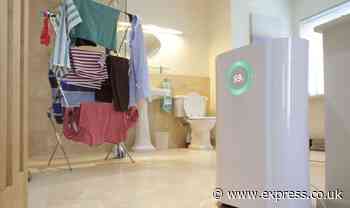 ‘Best’ method to dry clothes without a tumble dryer costs just ‘11p an hour to run’