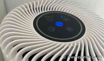 I introduced an air purifier into my home and it saved me hours on dusting - here's how