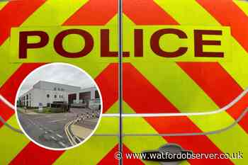 Drunk sentenced after grabbing police officer's crotch