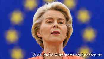 Die Europäische Bürgerinitiative: Auf dem Weg zur EU-weiten Vermögenssteuer?