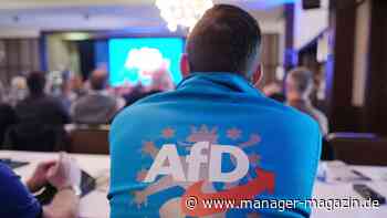 AfD Erfolge in Thüringen, Hessen und Bayern: Folgen für die Wirtschaft