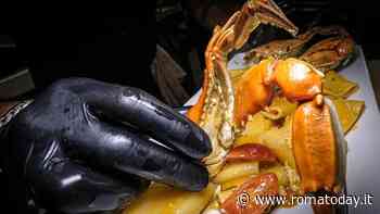 Talenti Food Fest, sapori d'autunno