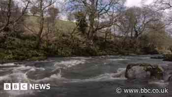 Rower dies after falling from boat into the River Lune