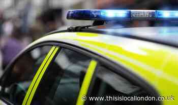Tadworth Bidhams Crescent: Delivery van theft