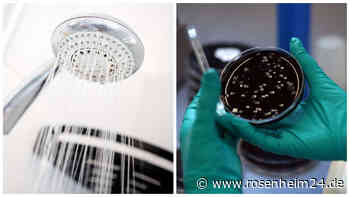 Wir hatten Legionellen im Warmwasser: Müssen wir für die Beseitigung bezahlen?