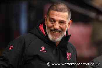 Ex-Watford boss Bilic in exclusive interview with Watford Observer