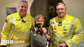 Lymington cat trapped in patio table freed by firefighters
