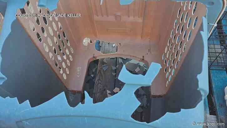 Las Vegas animal shelter suffers thousands of dollars of damage