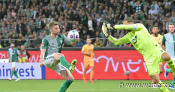 Werder Bremen - TSG Hoffenheim (HL)