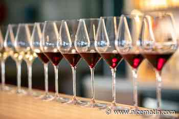 La France en passe de redevenir 1er producteur mondial de vin devant l'Italie