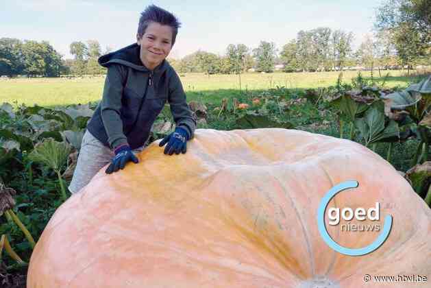 Tuur (9) eindigt op 11de plek met pompoen van 648 kg op Belgisch kampioenschap