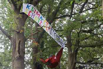 Protest am Kanal: Klimaaktivisten hängen sich in Bäume