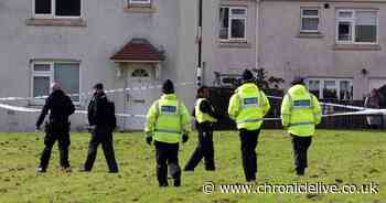 Police looking into past reports of dog attacks in Shiney Row after Ian Langley XL Bully tragedy