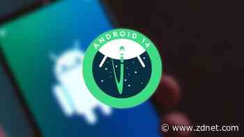 The first thing you should do after upgrading to Android 14