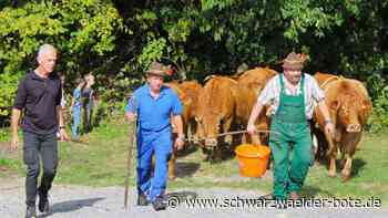 Schwalbenhof in Neusatz: Auftrieb der Kuhherde ist wieder der Höhepunkt