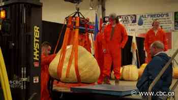 Gargantuan gourd growers compete at Alberta pumpkin fair