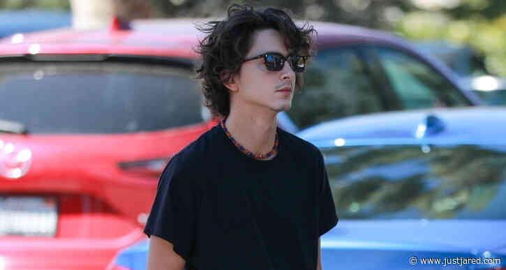 Timothee Chalamet Keeps Things Casual for Coffee Run in Bel-Air