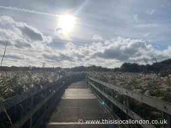 Wild Things: Crossness Nature Reserve plan must be stopped