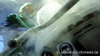 Cryopreservation: Sask. researchers aim to improve fertility of women after cancer
