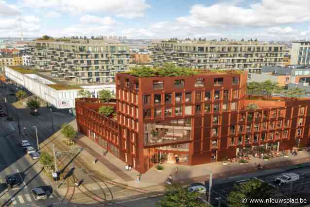 ‘Groene driehoekje’ aan Londenstraat krijgt nu echt nieuwe invulling: “Een gebouw waar veel groen en buitenruimte gaat komen”