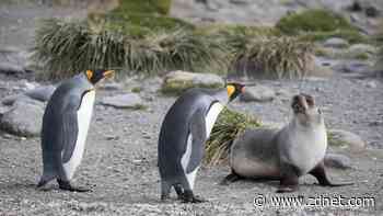 7 things even new Linux users can do to better secure the OS