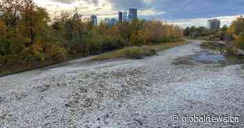 City of Calgary looks at more measures to help deal with drought