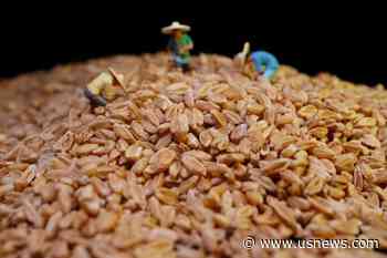U.N. Held Talks in Russia on Monday on Grain, Fertilizer Exports