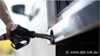 Live: ASX gains ground, Origin Energy shares surge after regulator approves takeover