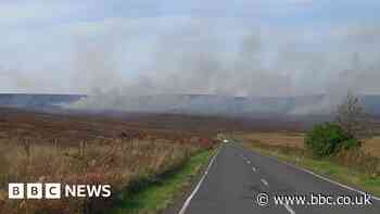 Sheffield: plumes of smoke prompt air quality and wildlife concerns
