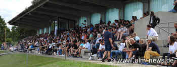 Spartans-Jugend: Bilanz der regular season positiv