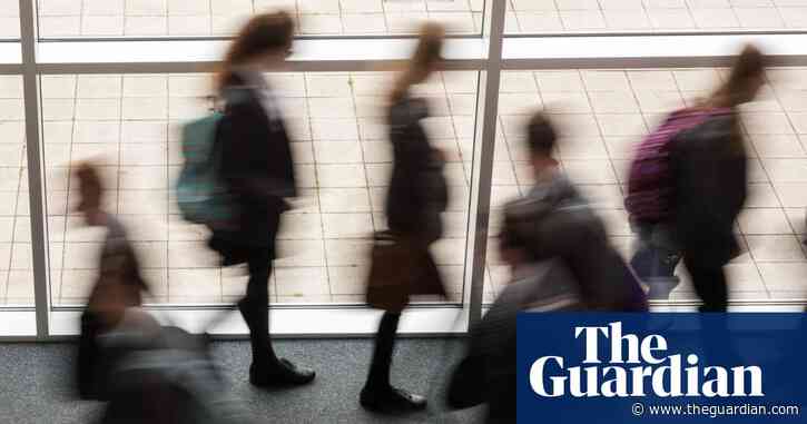 Review finds safeguarding failures over Sussex killing of man by girl, 14