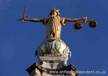 Van driver avoids jail after killing woman in Enfield