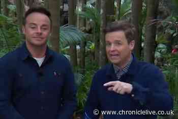I'm A Celebrity's Ant and Dec target of This Morning 'rant' from Paddy McGuinness