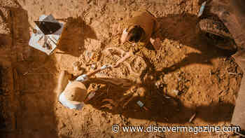 2023 Has Been A Good Year For New Dinosaur Discoveries