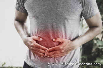 What Causes Hunger, and Can Your Stomach Actually Shrink?